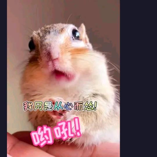 偷懒的米老鼠