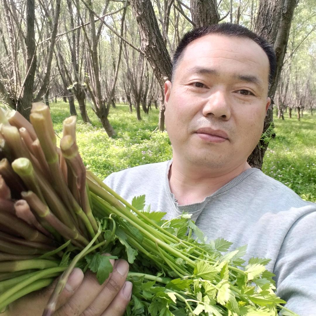 江南大叔