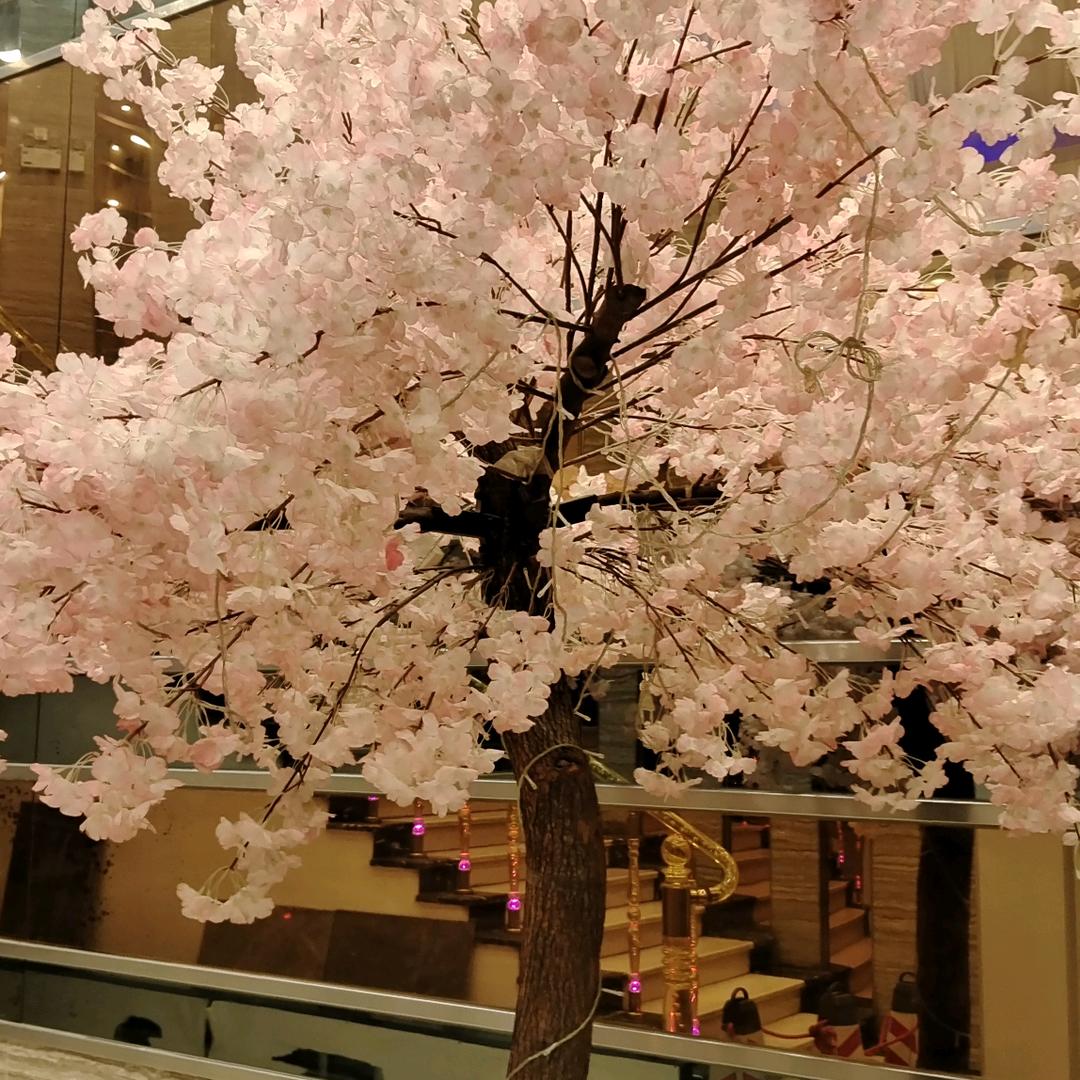风吹等雨来