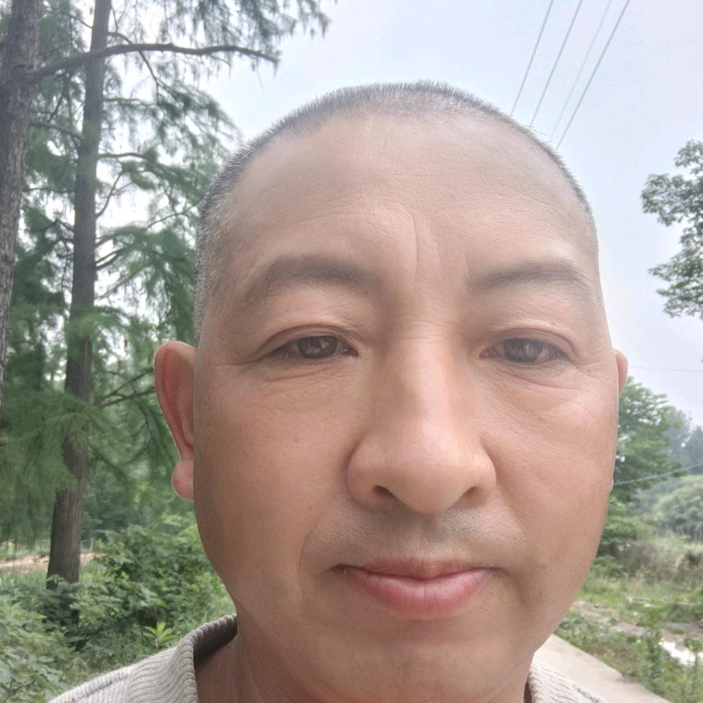 每天爱你