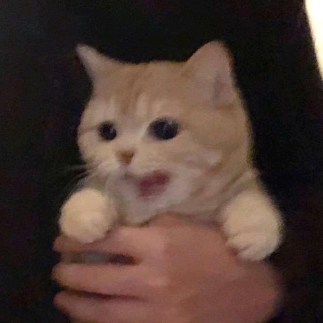 ❤️💛💚💙💜🧡🌻🎈