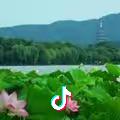 二姐a