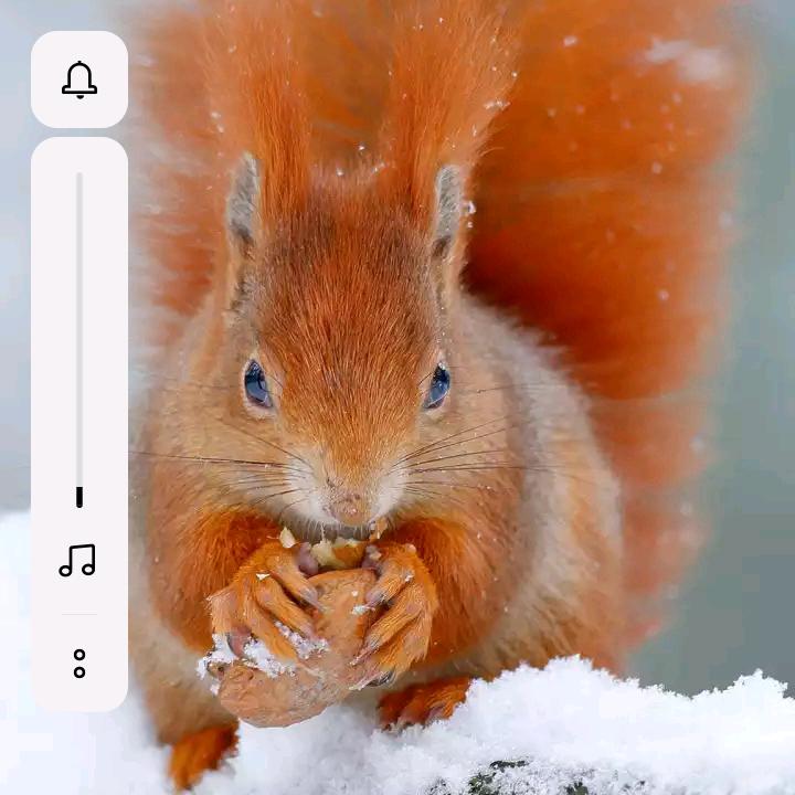 幸福人家幸福生活