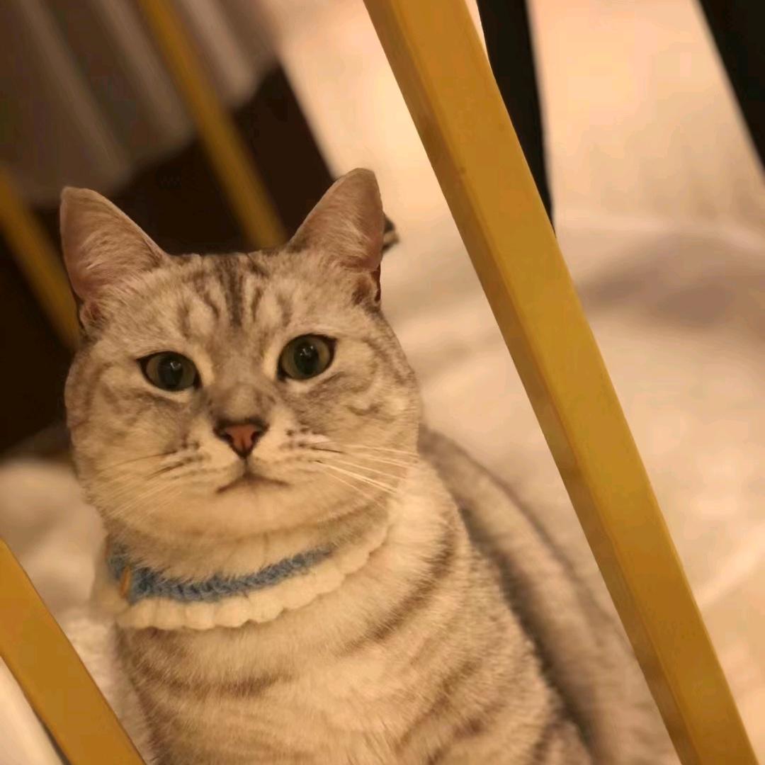 大马南洋特产店