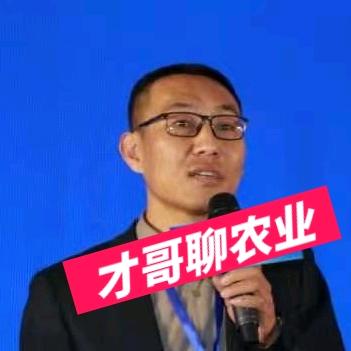 才哥聊农业