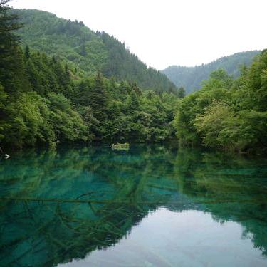 我的未来只是个梦