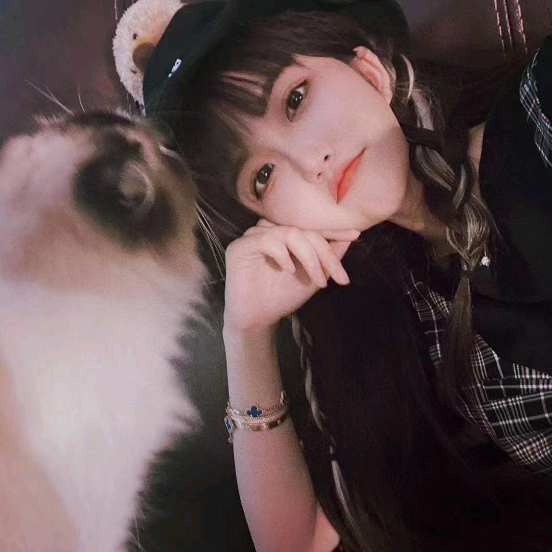 小典去哪了