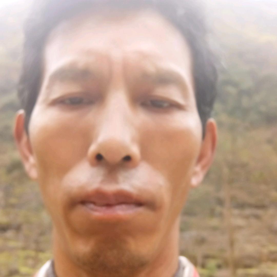 年年好运