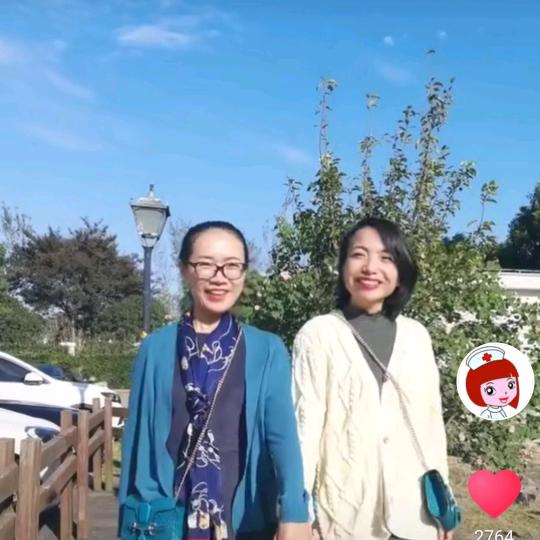 张老师和小胖丫头们