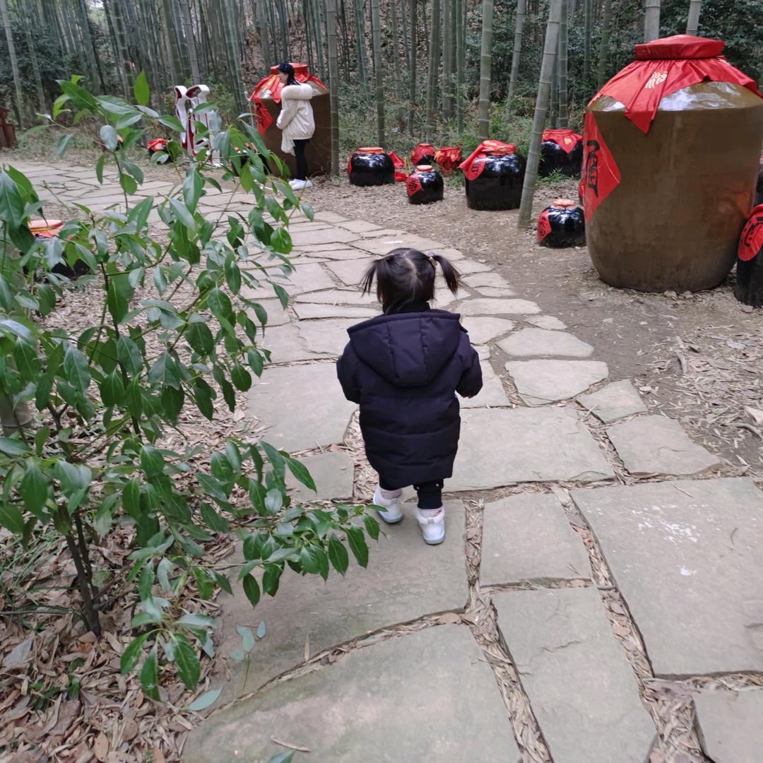 甜甜生活观察员