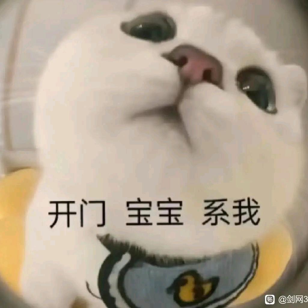 五橘人头像