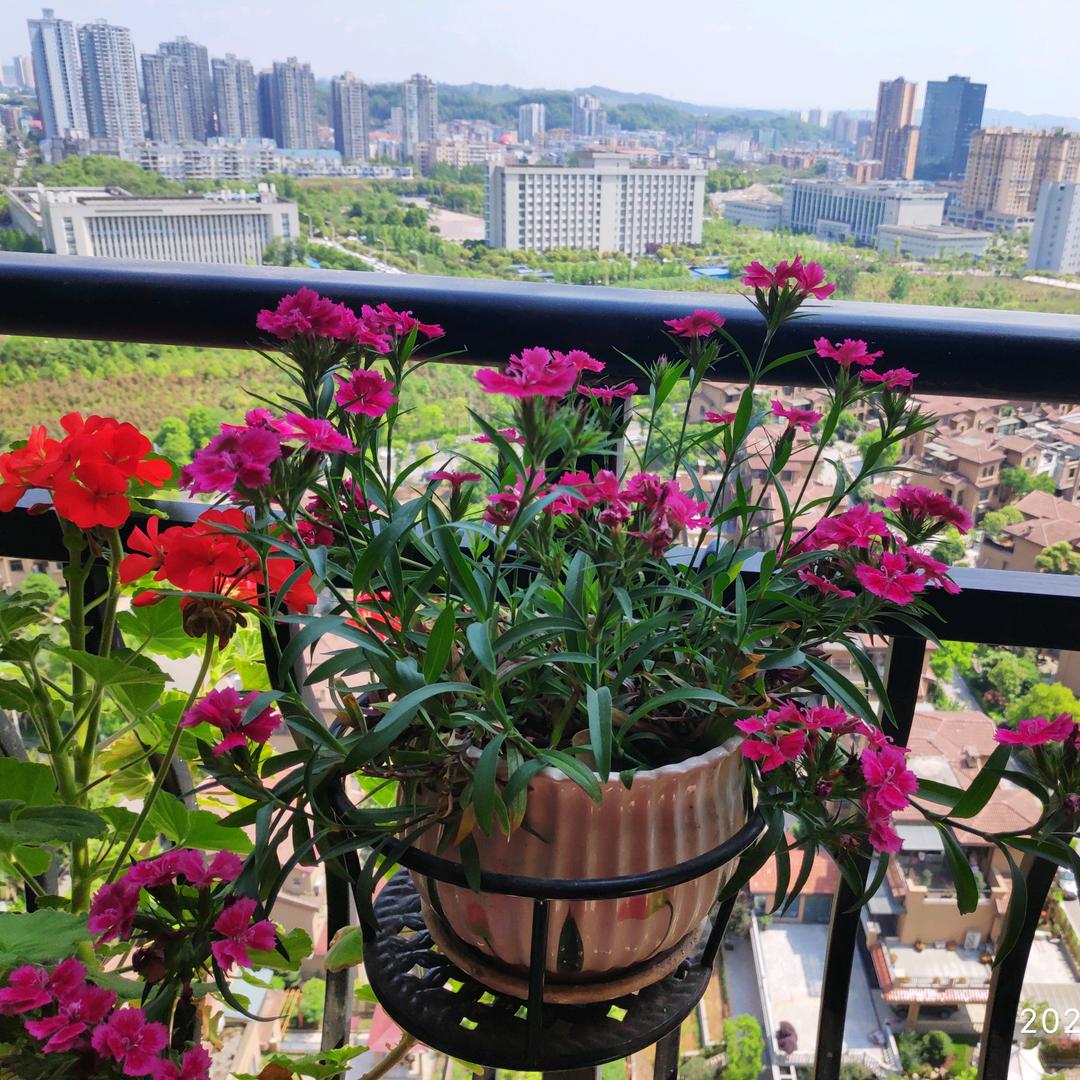 用户龙腾虎跃