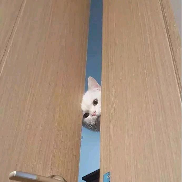 希望早日积极向上