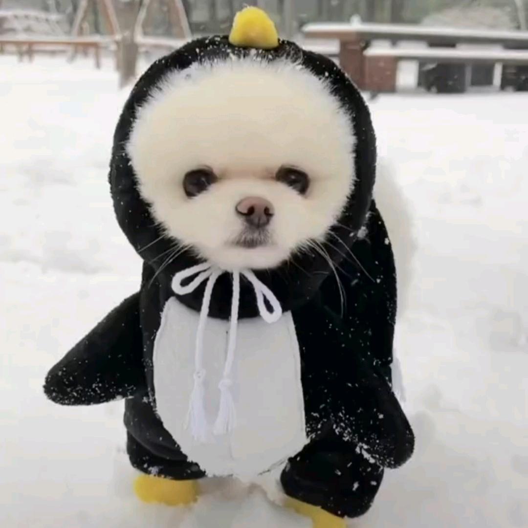 心心