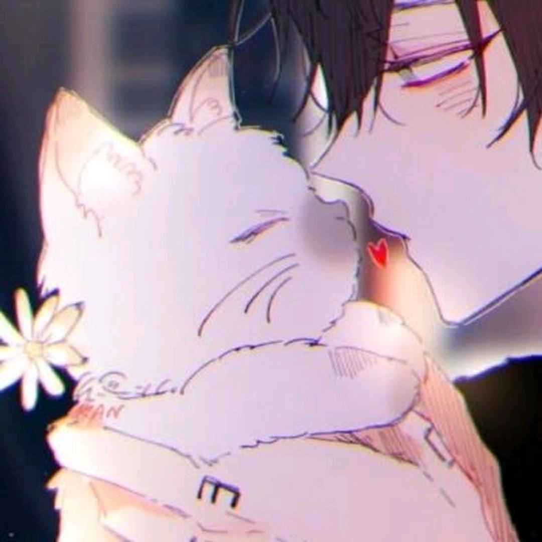 下次再说