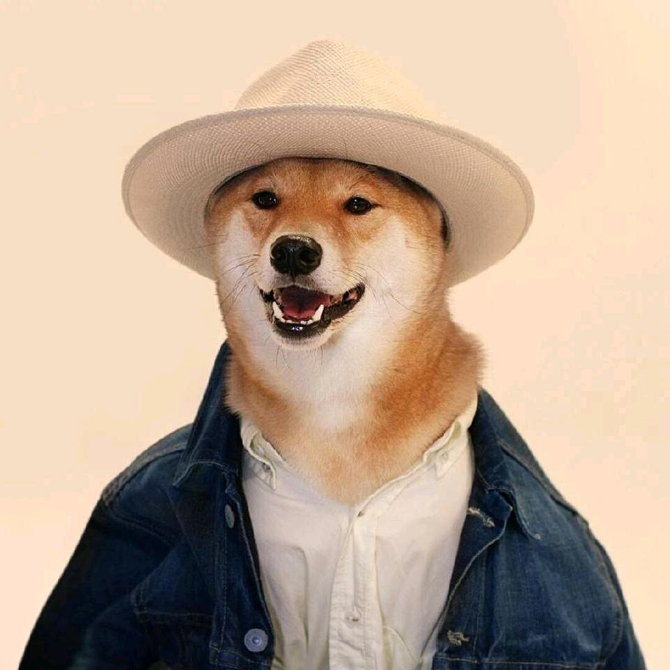 柒崁