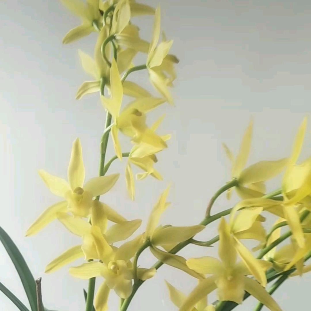 微风不燥，阳光正好