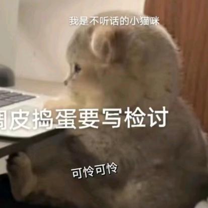 小小小小小葫芦头像