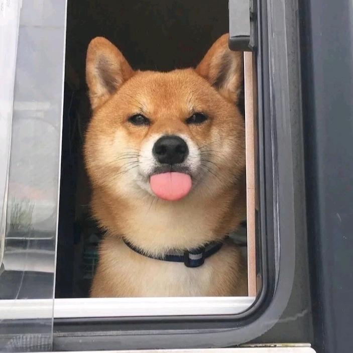 二十