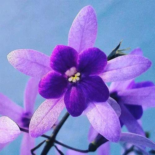 春暖花开🌼🌼🌼