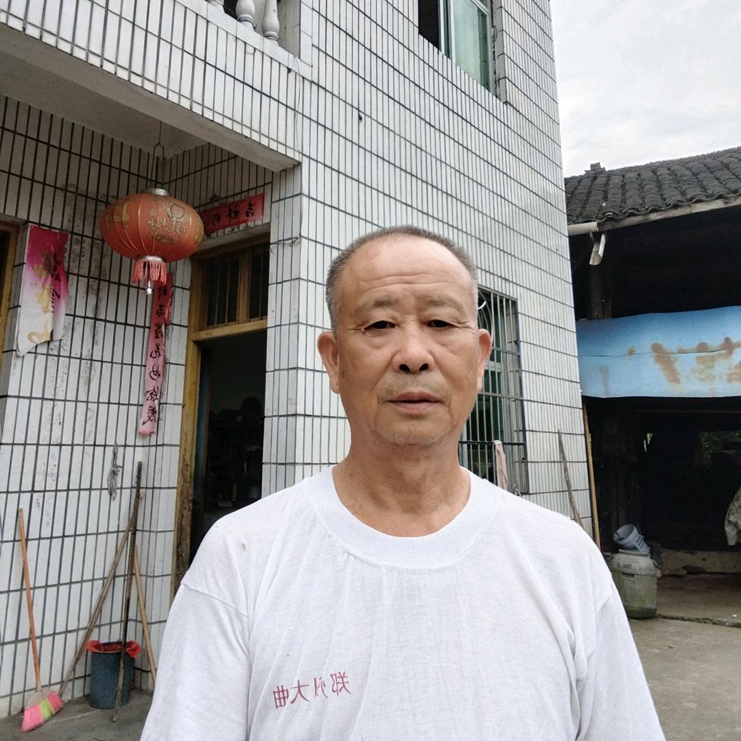 养蜂人老石