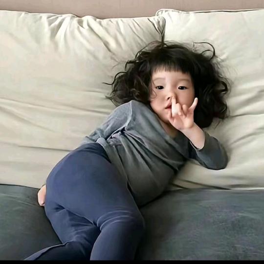 多肉煤气