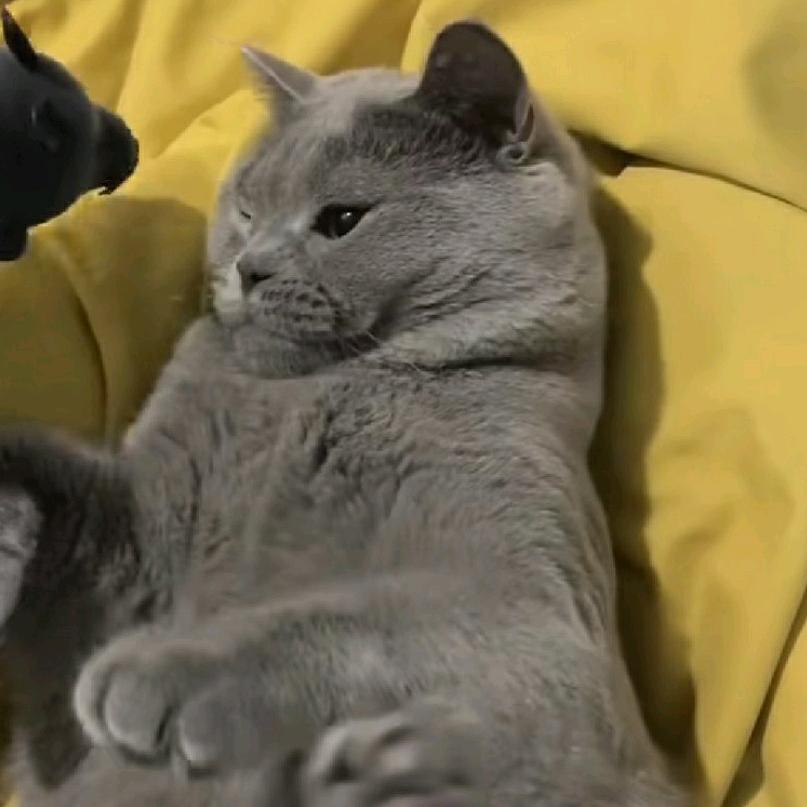 朋友们斯米玛赛