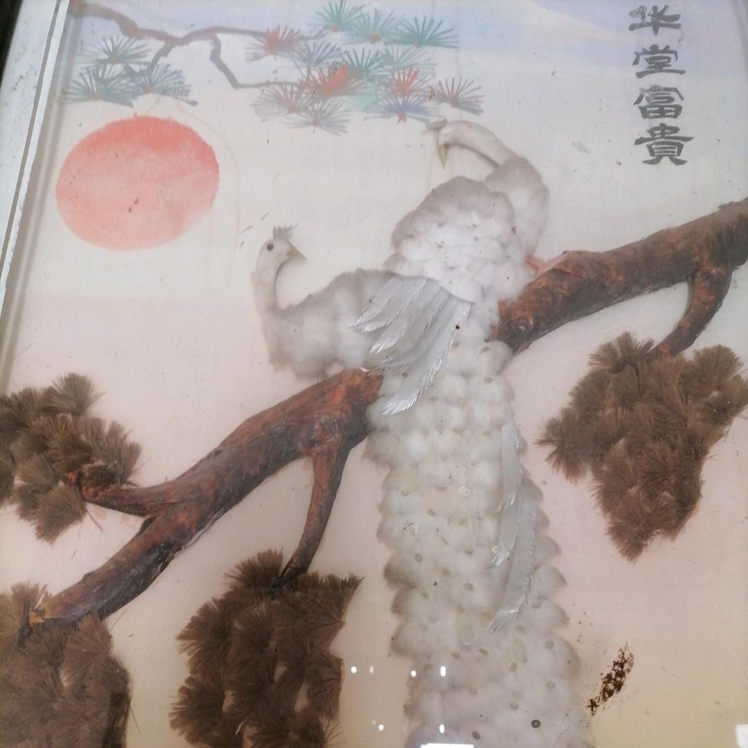 解放1949