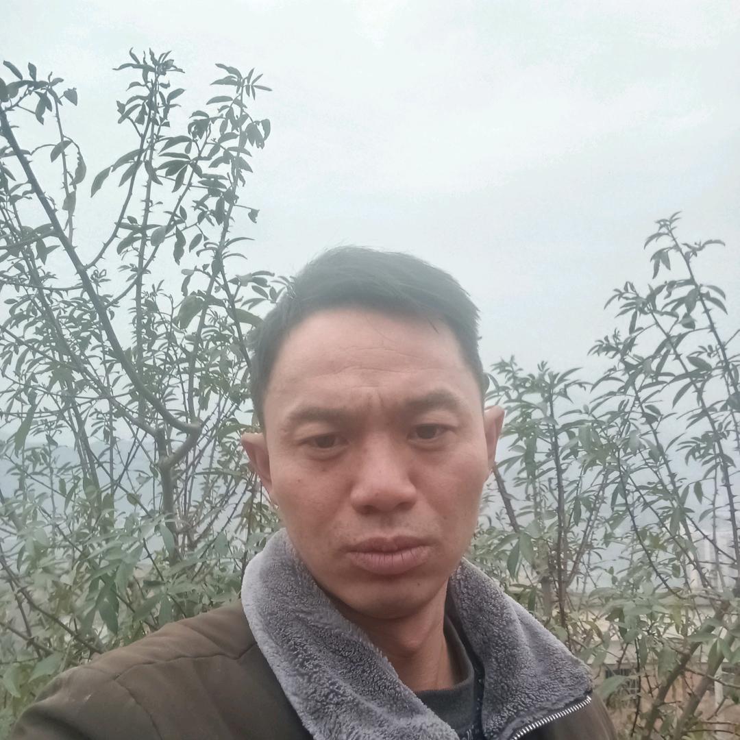 春天小草