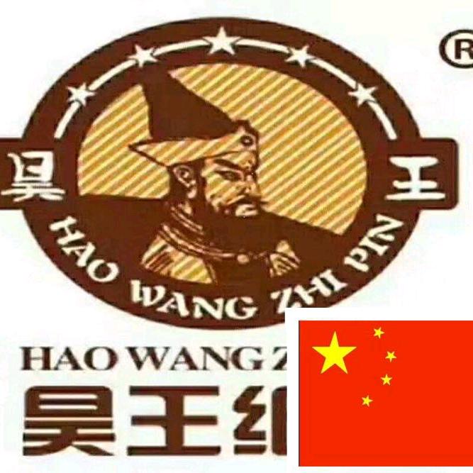 纸有昊王