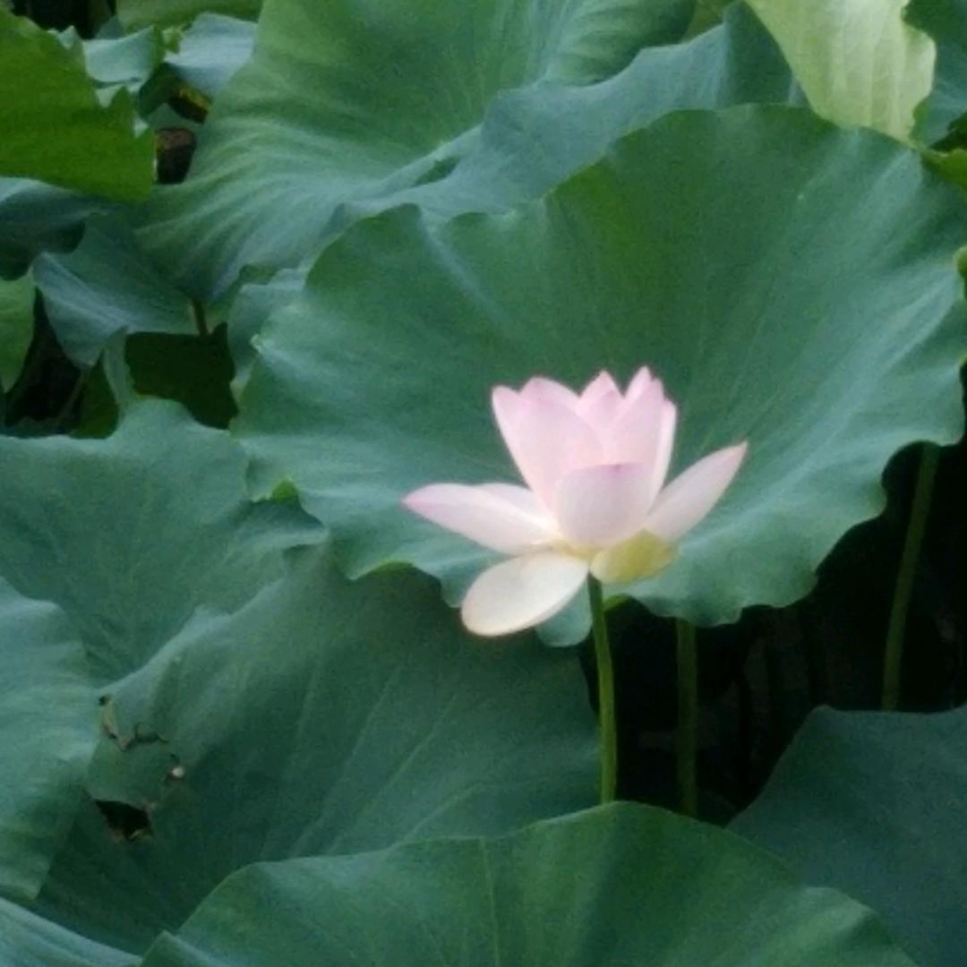 谋生之余谋点爱