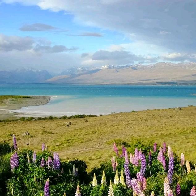 👫左手牵右手👫🌹🐰