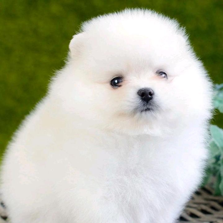 伴艺人生🌈2113🌈