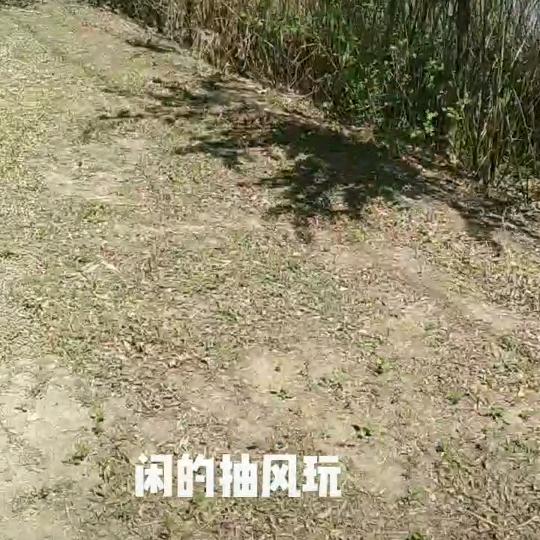 老头A