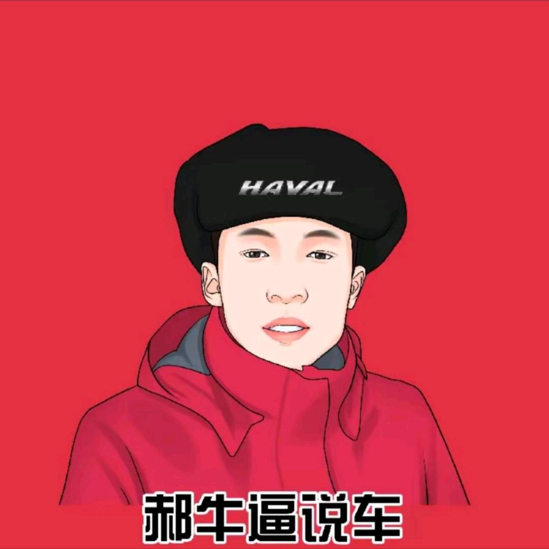 乐鑫锐严选车