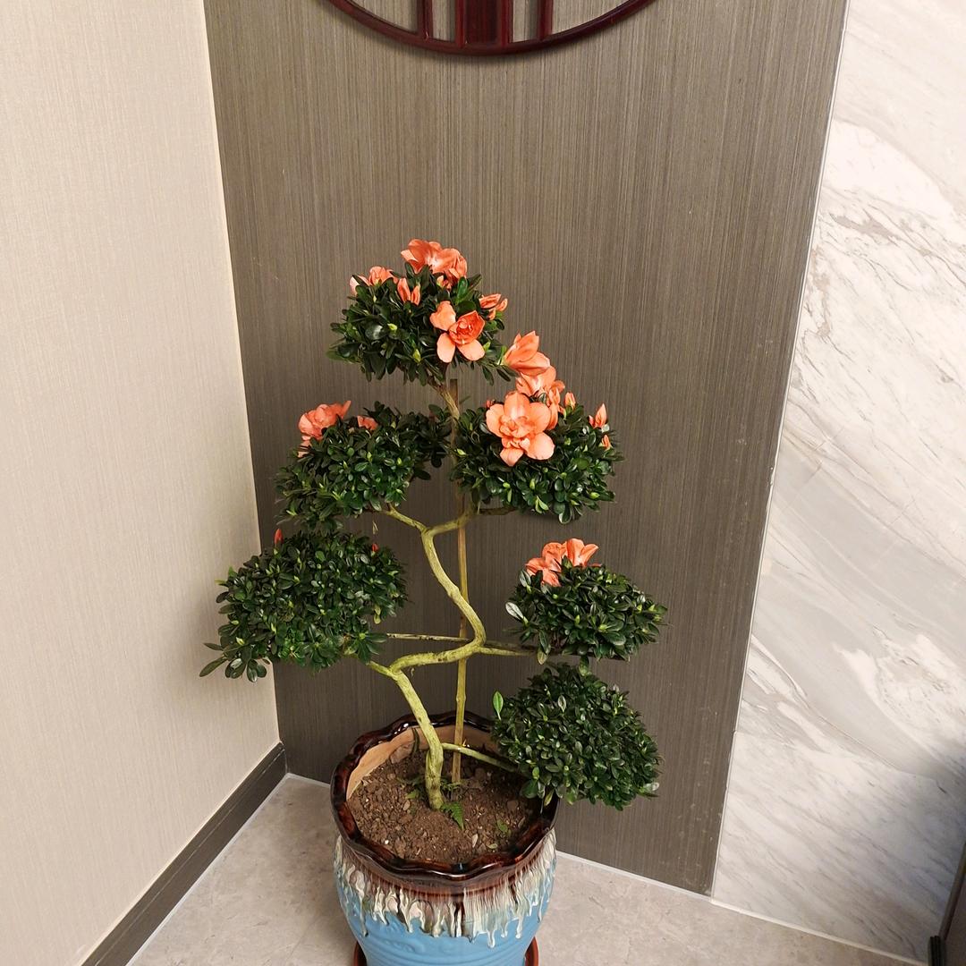 酒是好东西