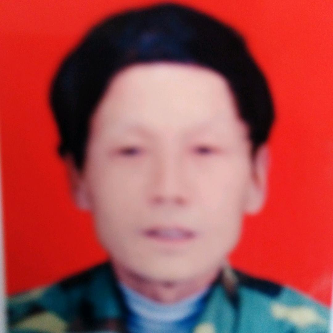 蚂蚁追火箭