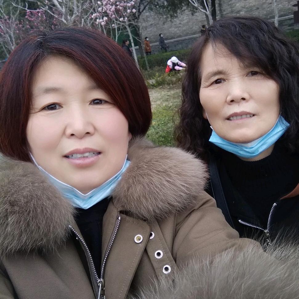 风雪梅花