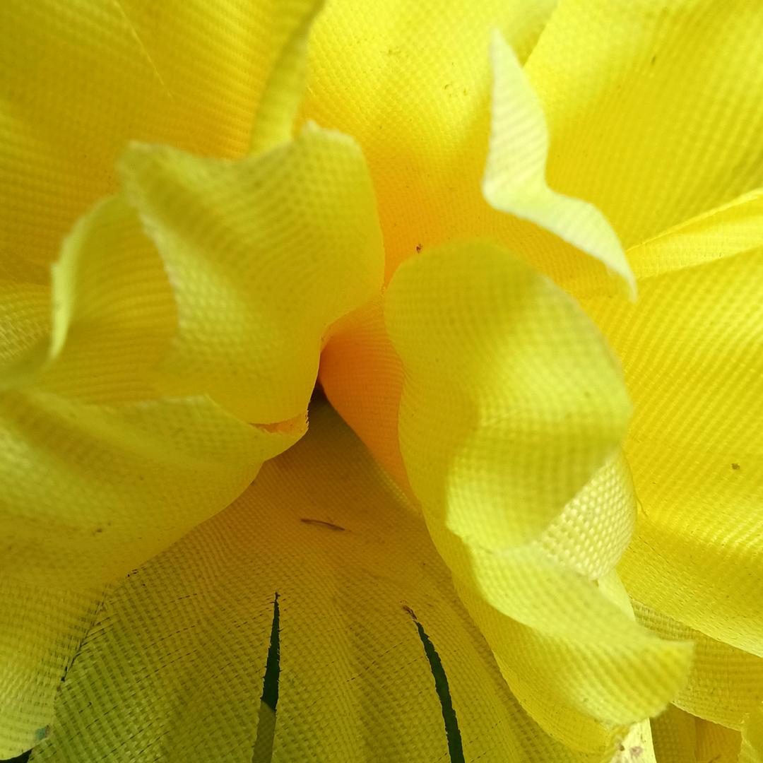 888