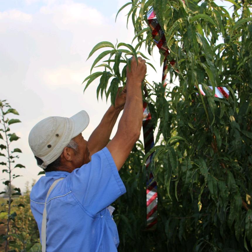 烟台市美燕包装材料有限公司
