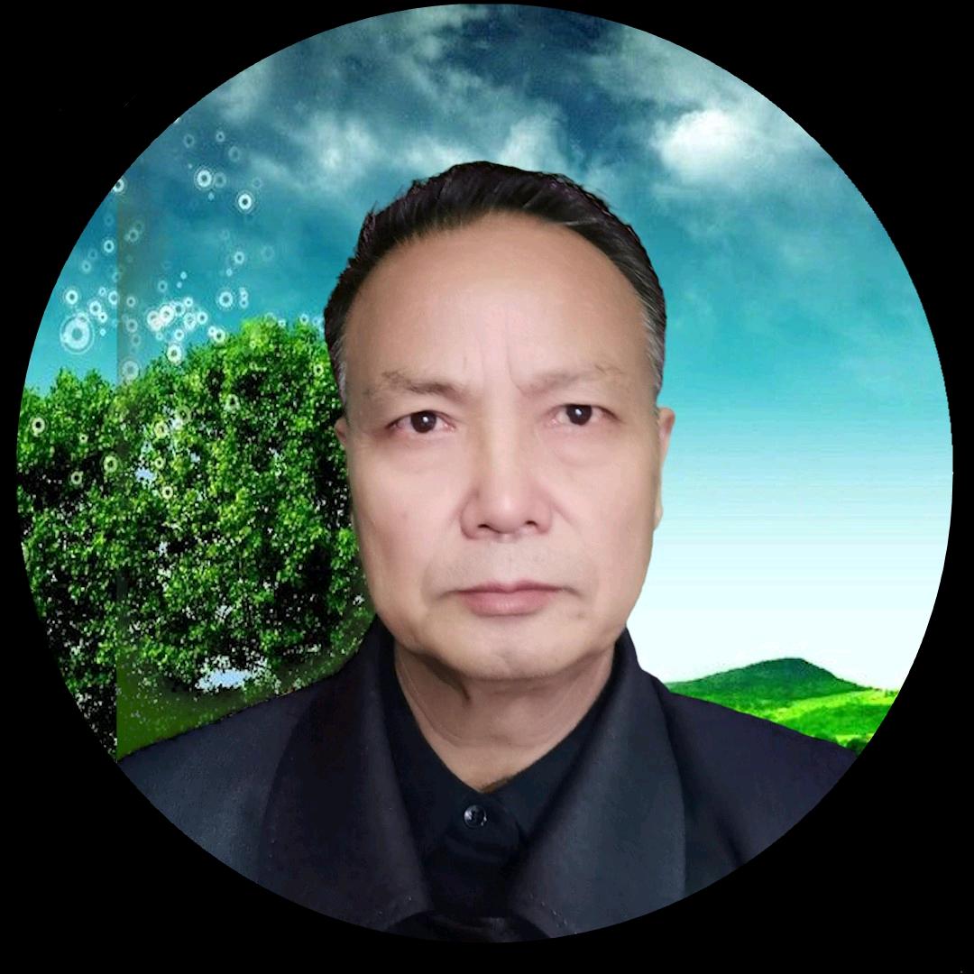 彤安真
