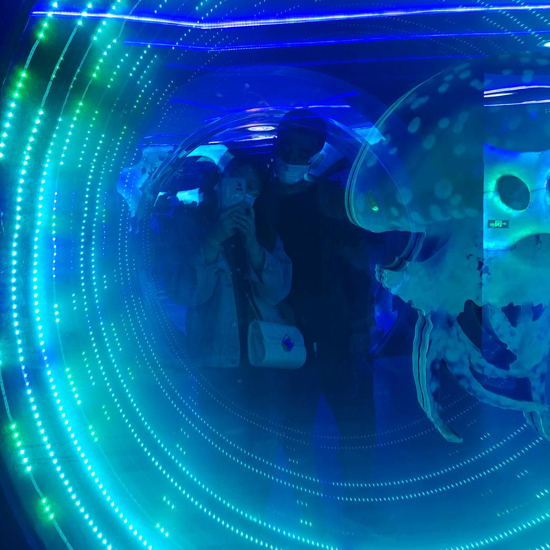 春风十里不如你《慧慧》