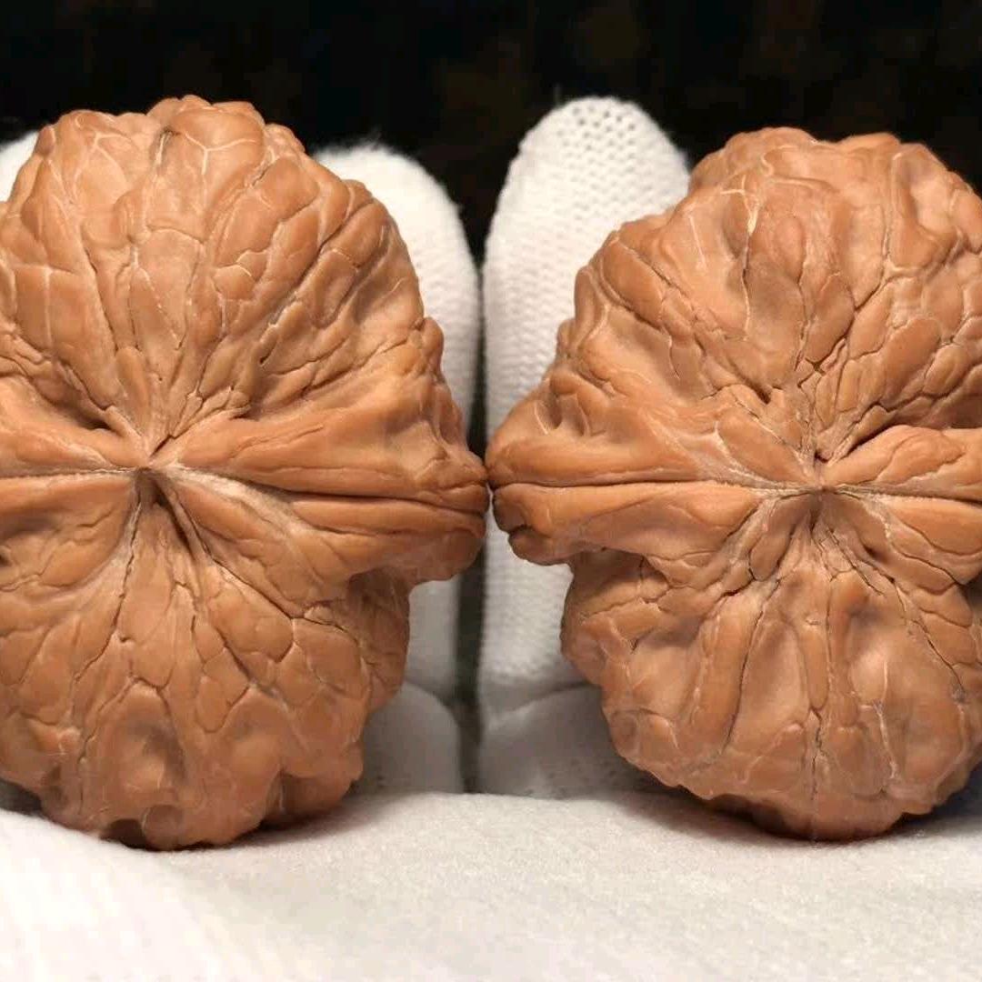 穆姐核缘
