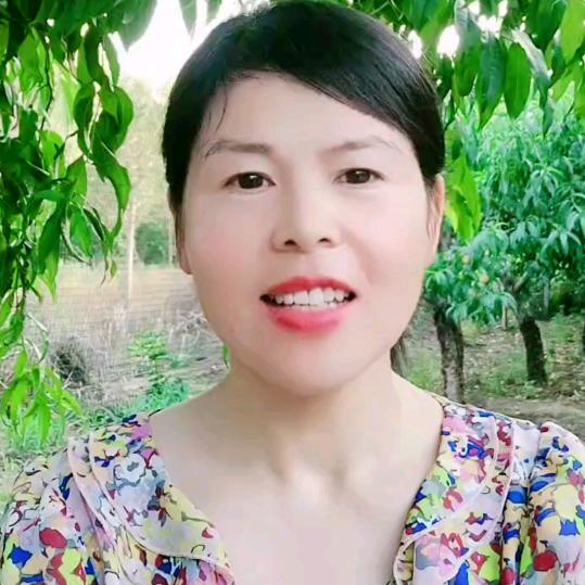 凤婵