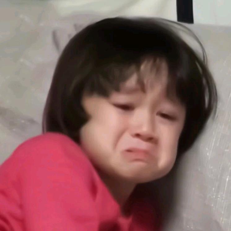 折枝