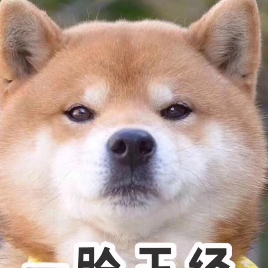 老狗电子回收