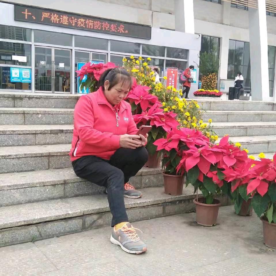娇姐