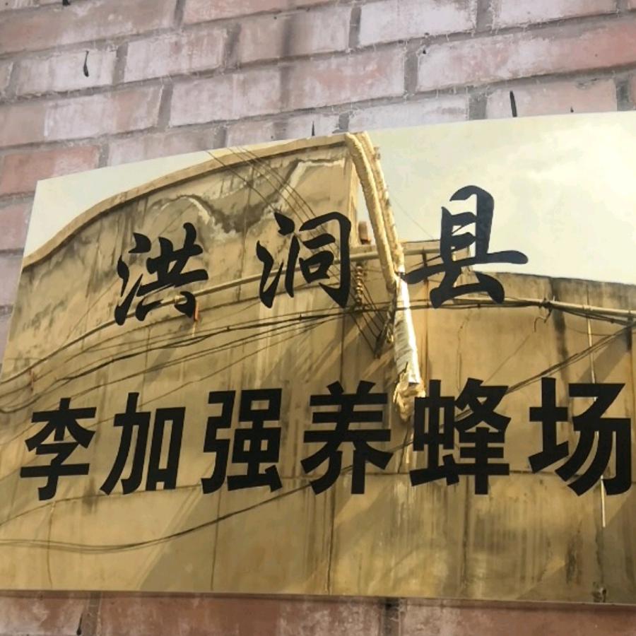 洪洞县李加强养蜂场