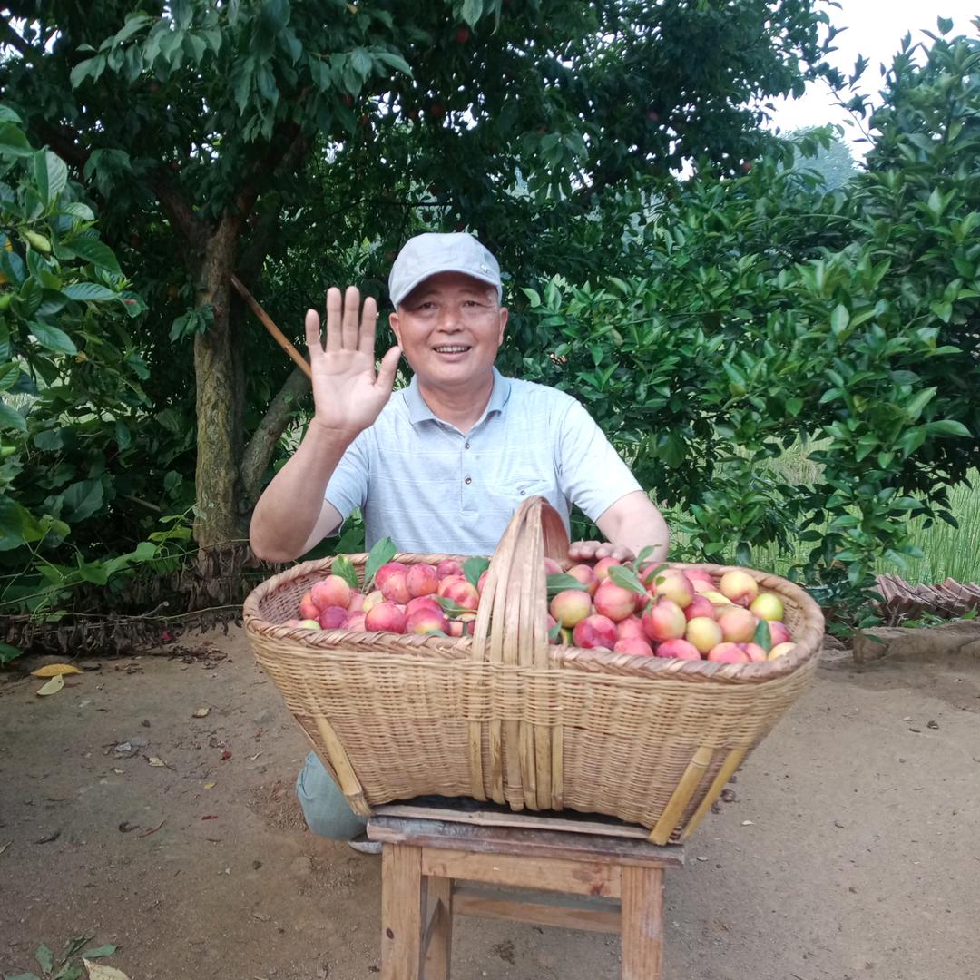 老来乐＿老颜