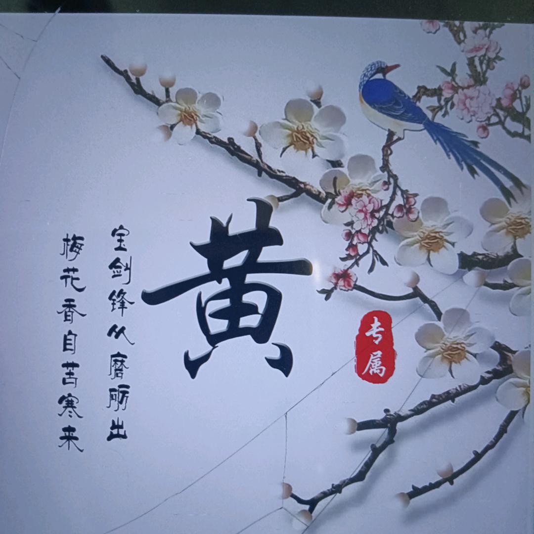 地球人。